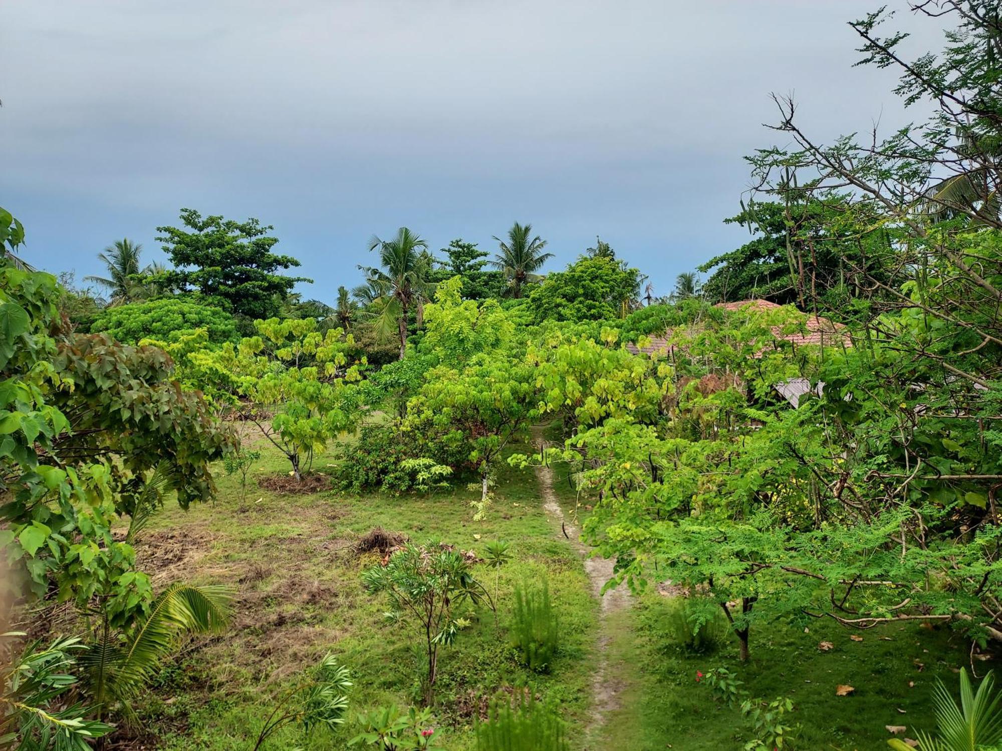 Celtis Resort Logon Luaran gambar