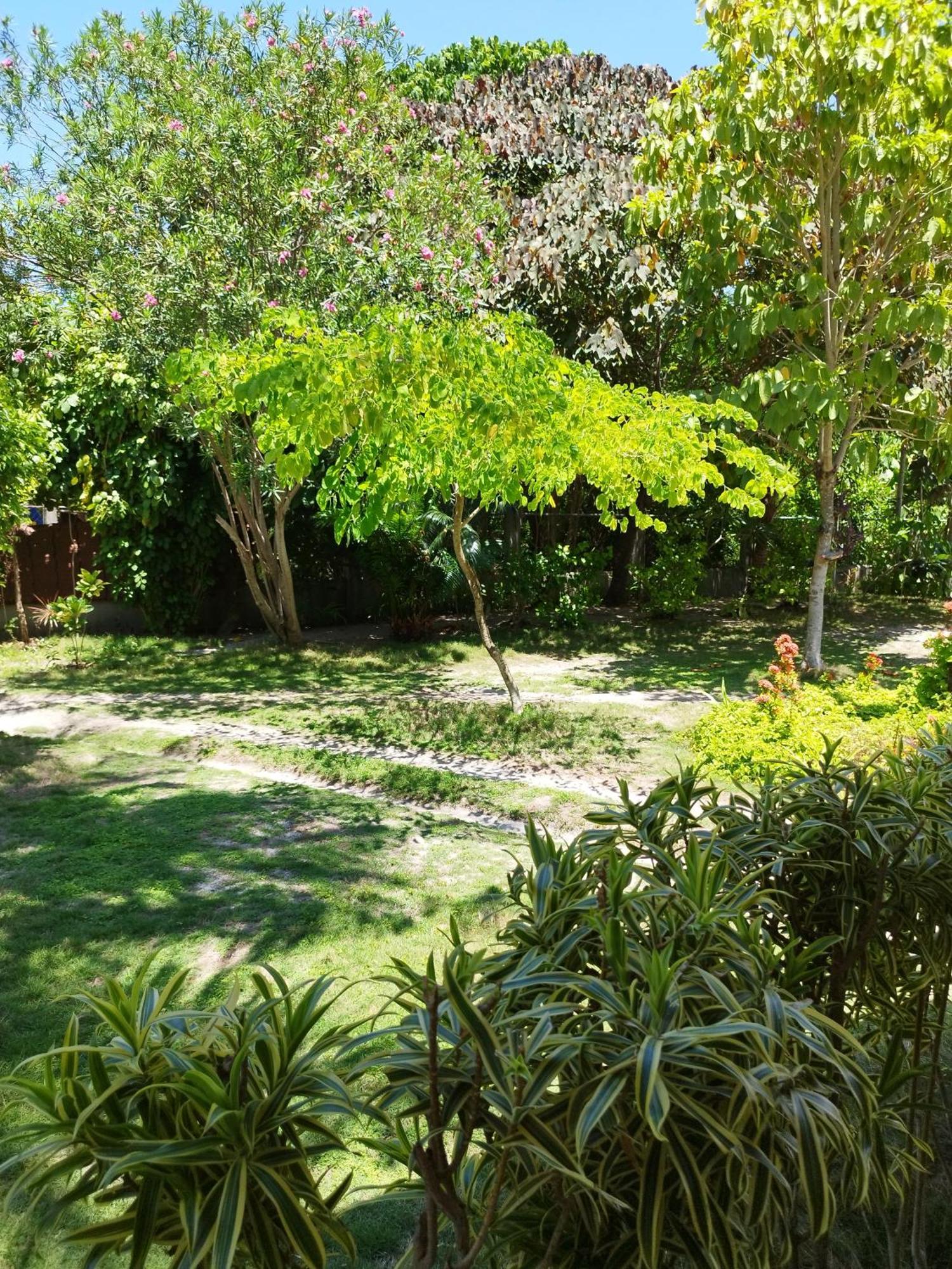 Celtis Resort Logon Luaran gambar