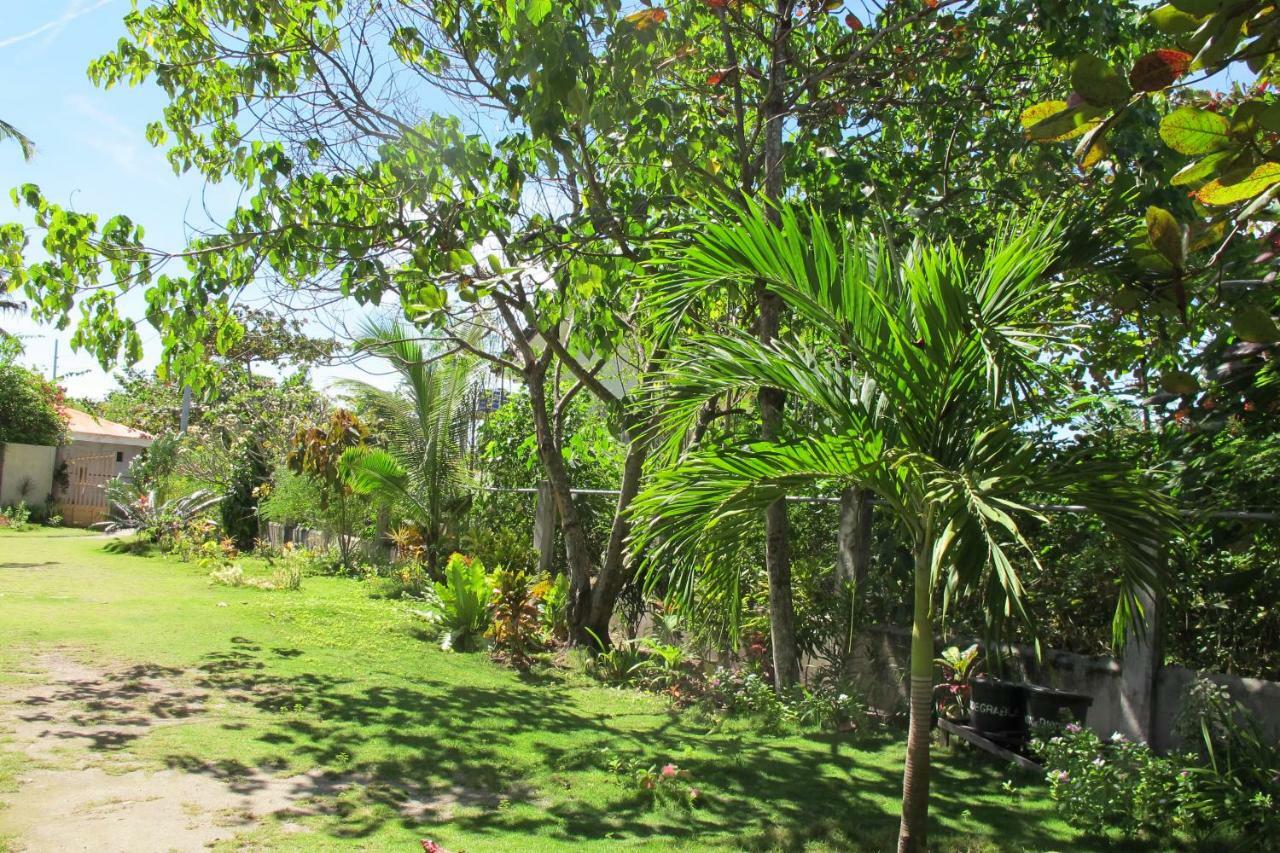 Celtis Resort Logon Luaran gambar